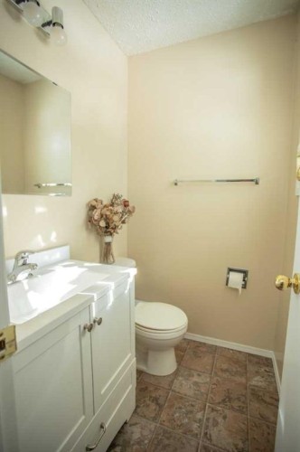 10403 106 Avenue, High Level, AB - Indoor Photo Showing Bathroom