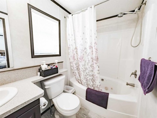 893029 Range Rd 232, Manning, AB - Indoor Photo Showing Bathroom