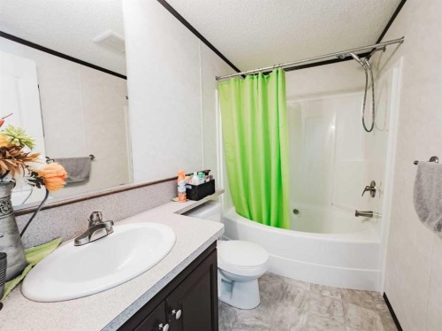 893029 Range Rd 232, Manning, AB - Indoor Photo Showing Bathroom