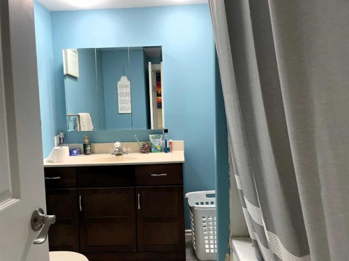 4521 50 Avenue, Grimshaw, AB - Indoor Photo Showing Bathroom