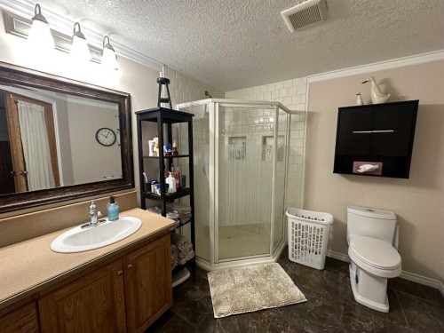 452 1St Street Sw, Falher, AB - Indoor Photo Showing Bathroom