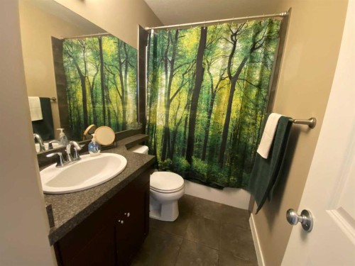 9520 92 Street, Wembley, AB - Indoor Photo Showing Bathroom