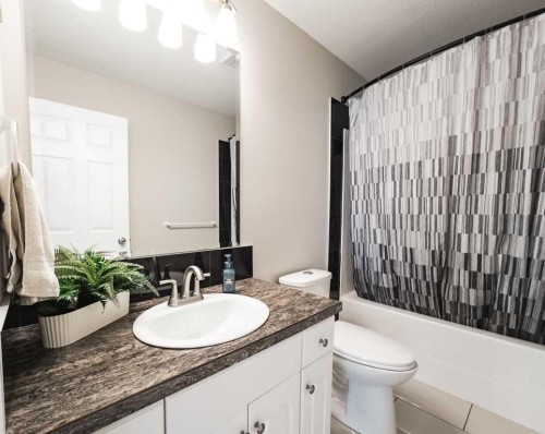 10705 101 Avenue, La Crete, AB - Indoor Photo Showing Bathroom