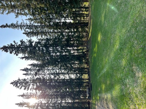 Sw-35-69-12-6 ., Elmworth, AB 