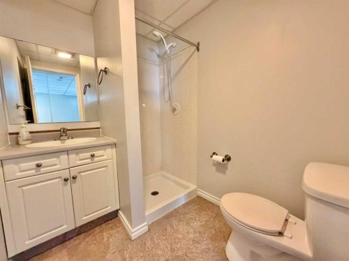4817 54 Avenue, Grimshaw, AB - Indoor Photo Showing Bathroom