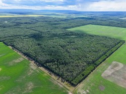 SW-34-105-13-W5 Rural Mackenzie County, AB T0H 2H0