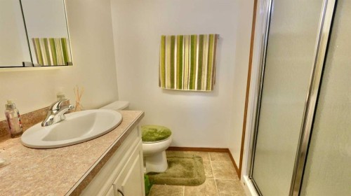 10302 83 Street, Peace River, AB - Indoor Photo Showing Bathroom