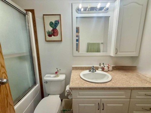 10302 83 Street, Peace River, AB - Indoor Photo Showing Bathroom