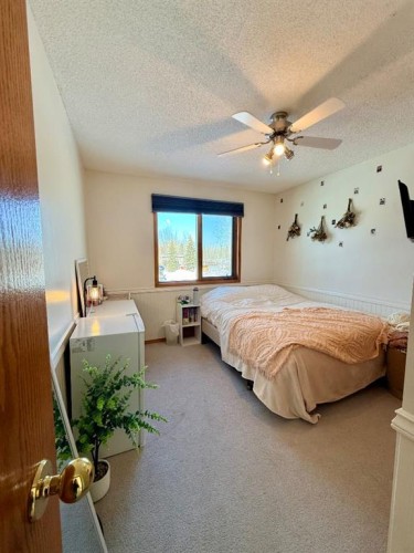 9202 95 Ave, La Crete, AB - Indoor Photo Showing Bedroom