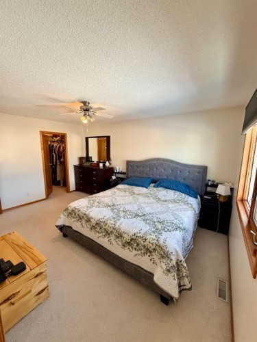 9202 95 Ave, La Crete, AB - Indoor Photo Showing Bedroom