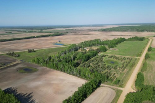 12072 Twp Rd 1072, La Crete, AB - Outdoor With View