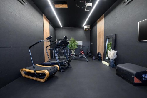 50047 774A Township, Rycroft, AB - Indoor Photo Showing Gym Room