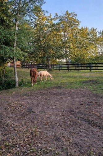 50047 774A Township, Rycroft, AB - Outdoor With View