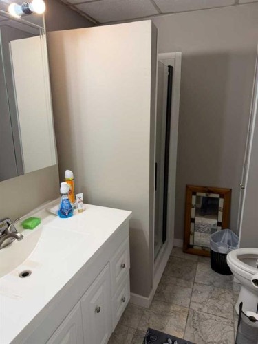 121 2 Avenue, Falher, AB - Indoor Photo Showing Bathroom
