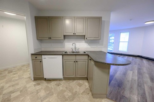 110-9700 92 Avenue, Grande Prairie, AB - Indoor Photo Showing Kitchen With Double Sink