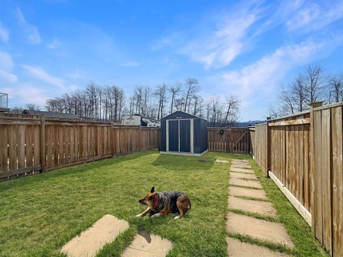 49 97Th Avenue, Grande Cache, AB - Outdoor With Backyard