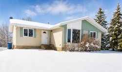 10702 104 Avenue Grande Cache, AB T0E 0Y0