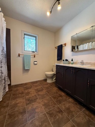 74420 Range Road 172, High Prairie, AB - Indoor Photo Showing Bathroom