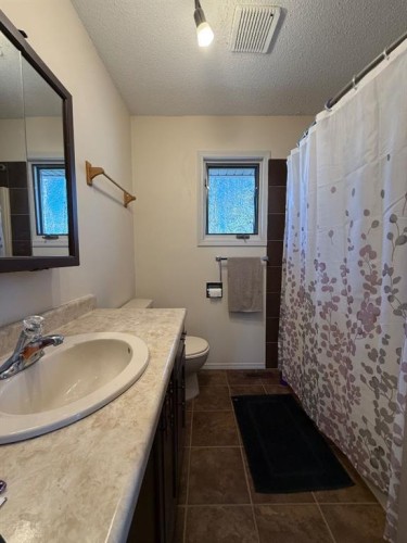 74420 Range Road 172, High Prairie, AB - Indoor Photo Showing Bathroom