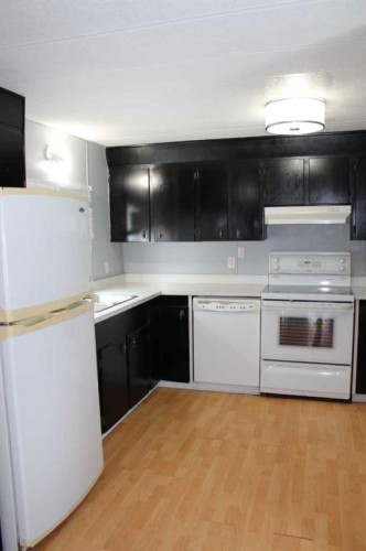 101 7Th Avenue Se, Manning, AB - Indoor Photo Showing Kitchen
