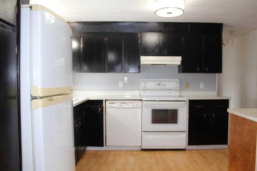 101 7Th Avenue Se, Manning, AB - Indoor Photo Showing Kitchen