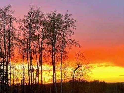 6419 Twp Rd 701A, Grovedale, AB - Outdoor With View