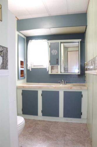 202 7Th Avenue Se, Manning, AB - Indoor Photo Showing Bathroom