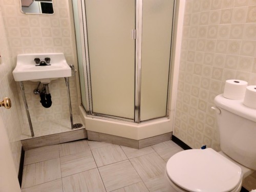 11113 103 Street, Peace River, AB - Indoor Photo Showing Bathroom