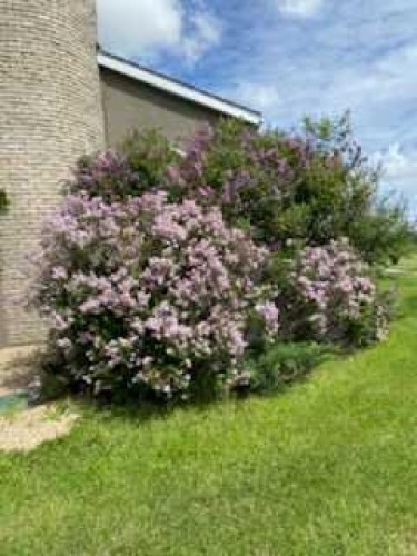 17423 Highway 2, High Prairie, AB - Outdoor