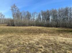 90058b twp 720 Wembley, AB T0H 3S0