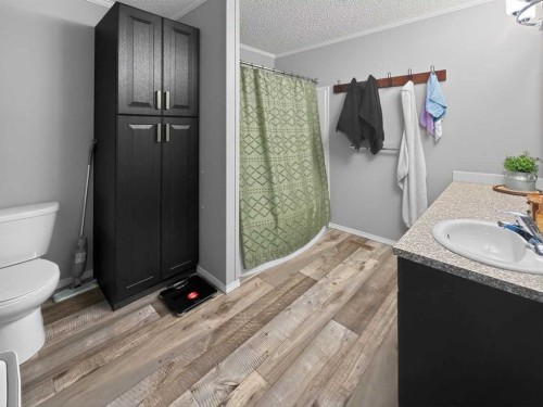 Blumenort Road, Rural Mackenzie County, AB - Indoor Photo Showing Bathroom