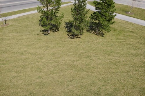 315-12330 102 Street, Grande Prairie, AB - Outdoor With View