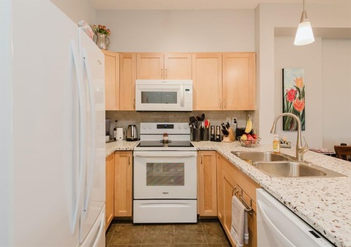 315-12330 102 Street, Grande Prairie, AB - Indoor Photo Showing Kitchen With Double Sink