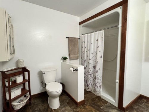 41066 Twp Rd 824, Rural Fairview No. 136, M.D. Of, AB - Indoor Photo Showing Bathroom