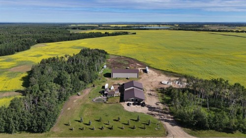 41066 Twp Rd 824, Rural Fairview No. 136, M.D. Of, AB - Outdoor With View