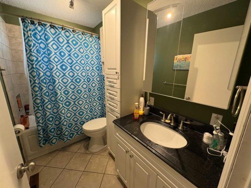 4715 47 Avenue, Grimshaw, AB - Indoor Photo Showing Bathroom