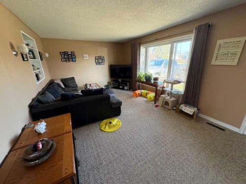 4715 47 Avenue, Grimshaw, AB - Indoor Photo Showing Living Room
