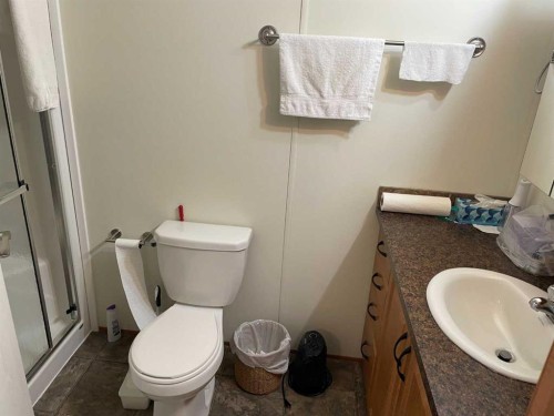 10305 101 Street, Fairview, AB - Indoor Photo Showing Bathroom