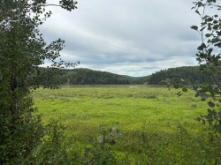 TWP RD 801A Rural Fairview No. 136, M.D. Of, AB T0H 1L0