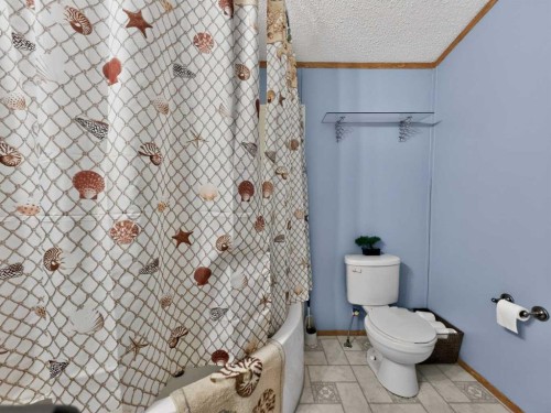 10202 Homestead Way, La Crete, AB - Indoor Photo Showing Bathroom