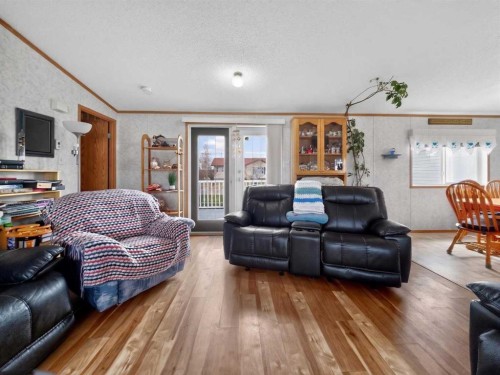 10202 Homestead Way, La Crete, AB - Indoor Photo Showing Living Room