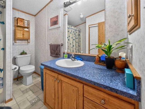 10202 Homestead Way, La Crete, AB - Indoor Photo Showing Bathroom