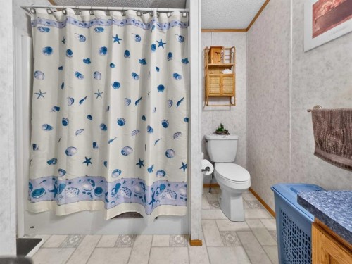10202 Homestead Way, La Crete, AB - Indoor Photo Showing Bathroom
