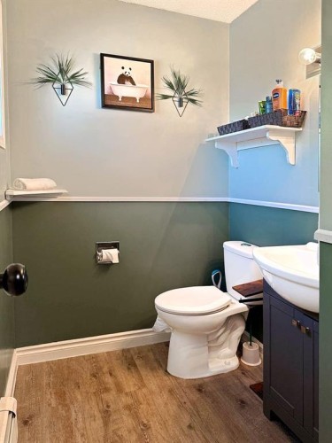 11002 Hoppe Avenue, Grande Cache, AB - Indoor Photo Showing Bathroom