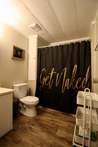 10306 101 Avenue, High Level, AB - Indoor Photo Showing Bathroom