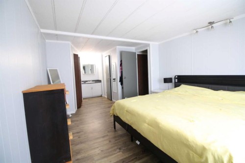 10306 101 Avenue, High Level, AB - Indoor Photo Showing Bedroom