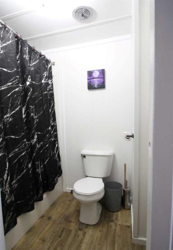 10306 101 Avenue, High Level, AB - Indoor Photo Showing Bathroom