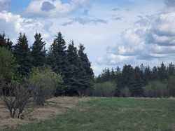 SW22-74-6-W6 63 Range Road Rural Grande Prairie No. 1, County Of, AB T8W 3C0