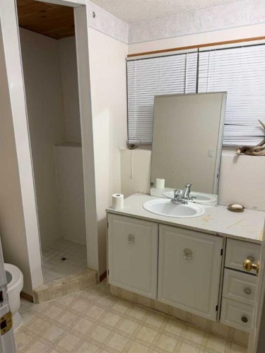 5311 50 Avenue, Grimshaw, AB - Indoor Photo Showing Bathroom