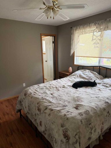 5311 50 Avenue, Grimshaw, AB - Indoor Photo Showing Bedroom